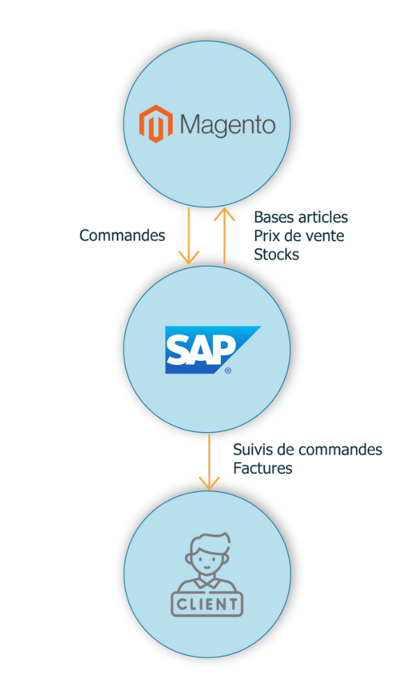 Schema Connecteur Magento